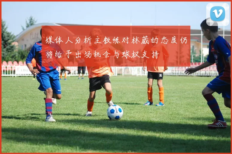 媒体人分析主教练对林葳的态度仍将给予出场机会与球权支持
