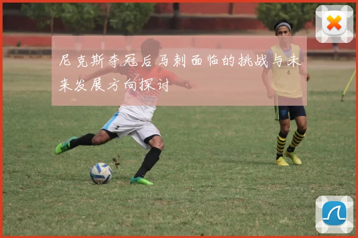 尼克斯夺冠后马刺面临的挑战与未来发展方向探讨