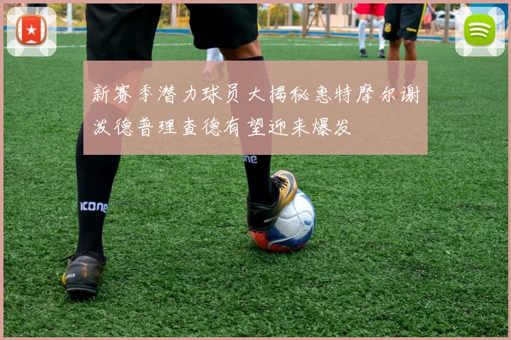 新赛季潜力球员大揭秘惠特摩尔谢泼德普理查德有望迎来爆发
